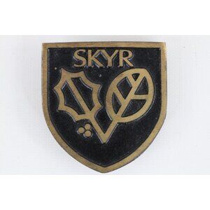 Vintage 70s Skyr Skiing Spell Out Dynabuckle Provo Utah Brass Belt Buckle Gold